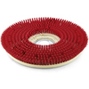 KÃ¤rcher ScheibenbÃ¼rste, mittel, rot, 508 mm   (6.371-206.0)